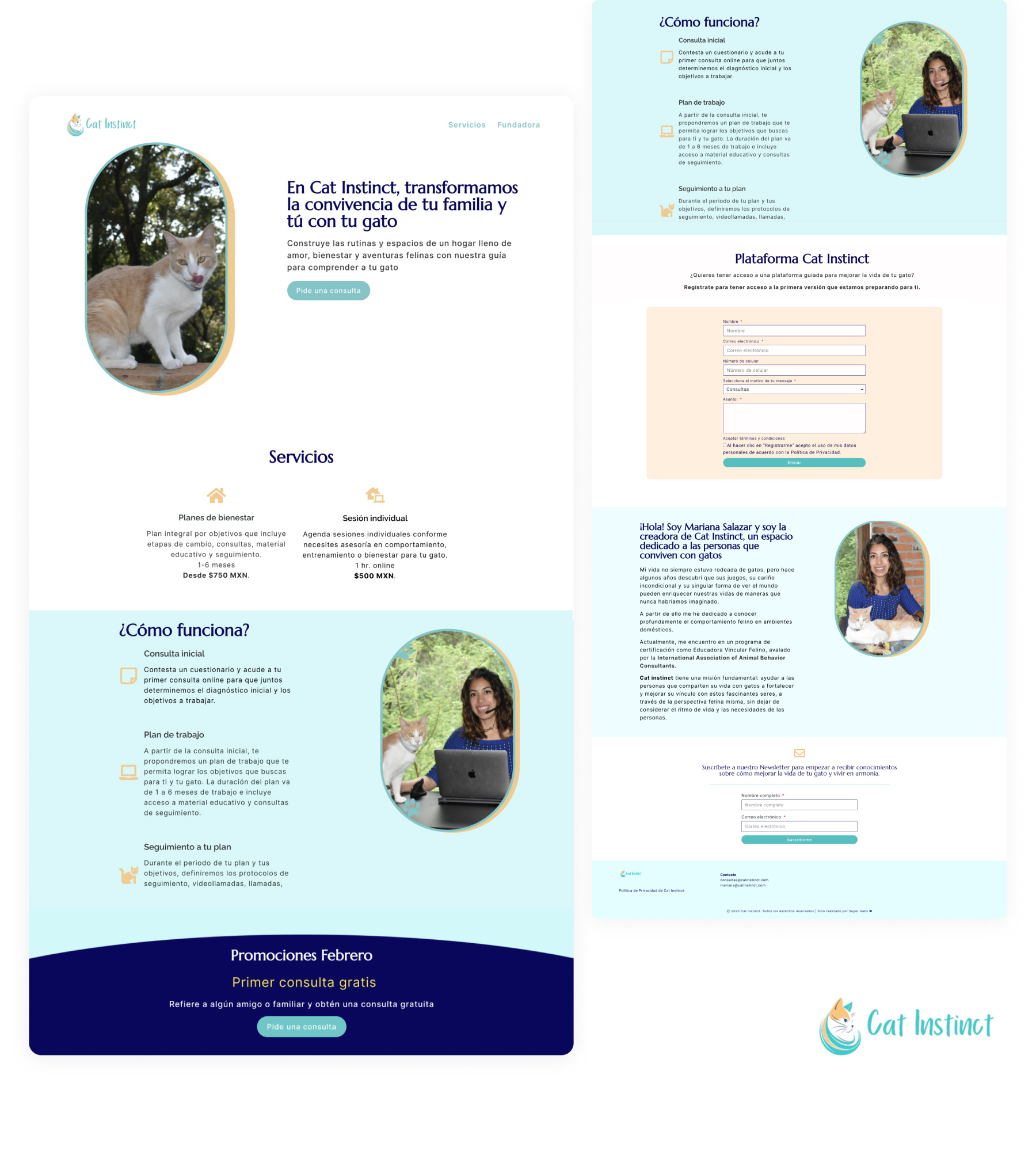 Sitio web de Cat Instinct: portada, servicios, cómo funciona y formulario de contacto